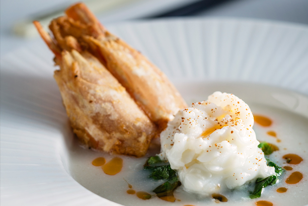 The Chairman-ASIA-2018-DISH 1